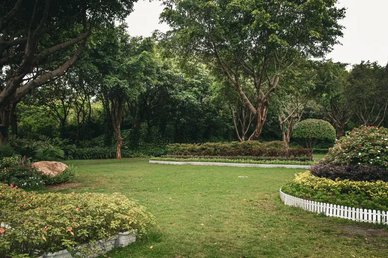 Healthy lawn, shade trees and planting beds