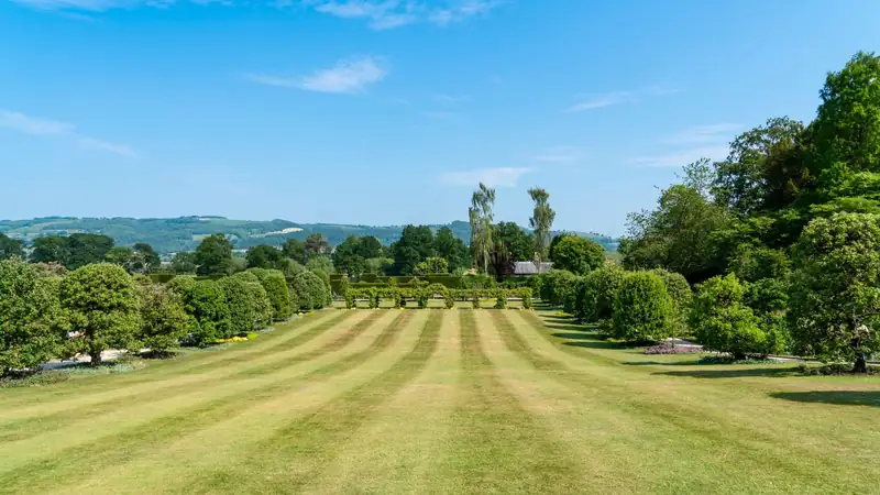 Freshly striped, manicured lawn bordered by shaped shrubs