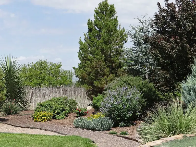 Landscape bed with native shrubs and grasses